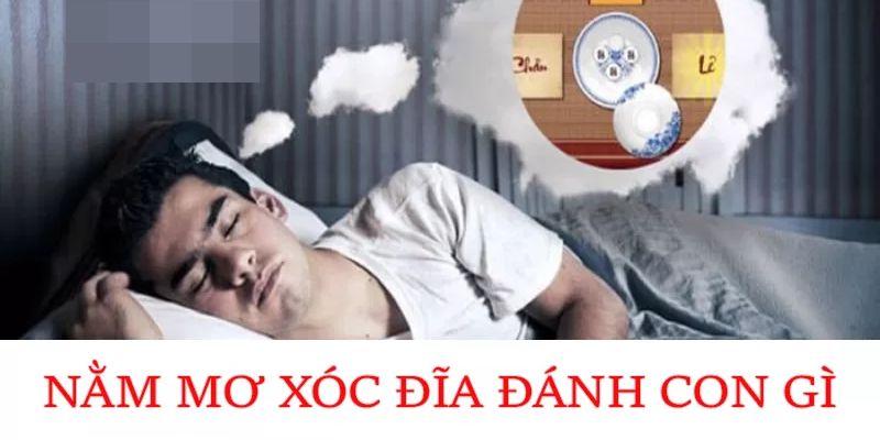 Nằm mơ đánh Xóc Đĩa đánh con gì cho lô trượt