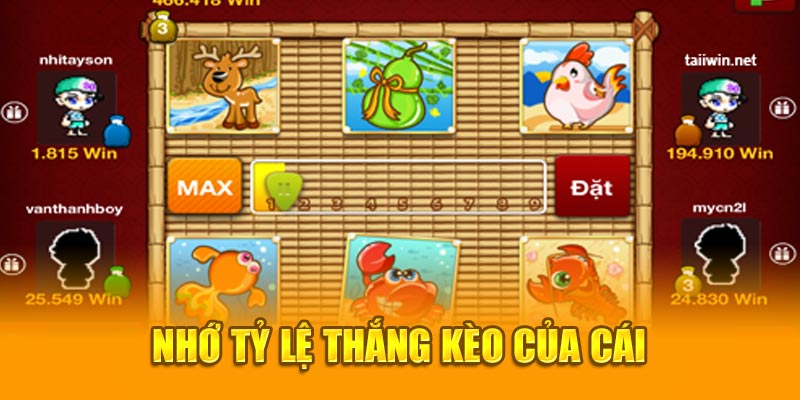 Nhớ tỷ lệ thắng kèo của cái